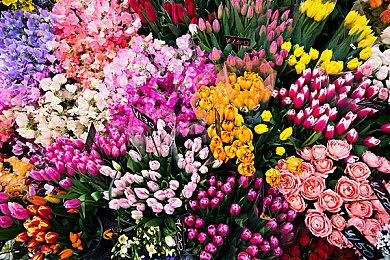 I社《甜心选择2：Libido DX》Steam版6月3日发售